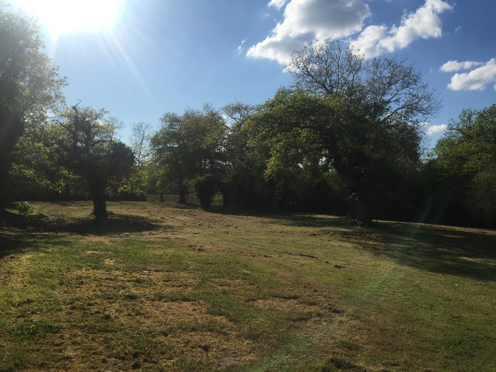 Aire camping-car  Ozourt (40380) - Photo 1